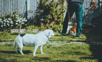 Conheça as vantagens e motivos para comprar um apartamento “Garden”