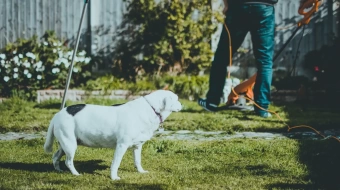 Conheça as vantagens e motivos para comprar um apartamento “Garden”