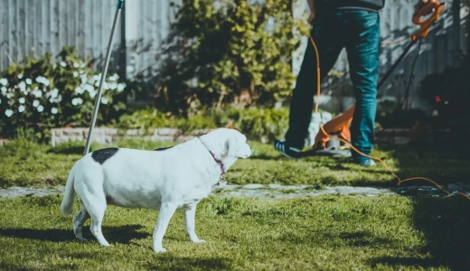 Conheça as vantagens e motivos para comprar um apartamento “Garden”